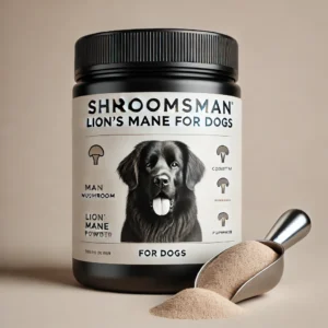 Shroomsman Lion’s Mane supplement for dogs in a sleek black jar with scoop of Lion’s Mane powder, designed for cognitive health and wellness support for dogs.